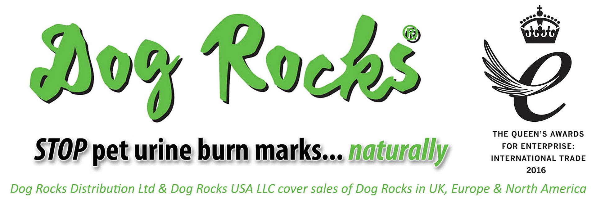 Dog Rocks