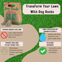 Dog Rocks - 6 months supply of Dog Rocks - 1.2lb of Dog Rocks (600g Dog Rocks Packs)