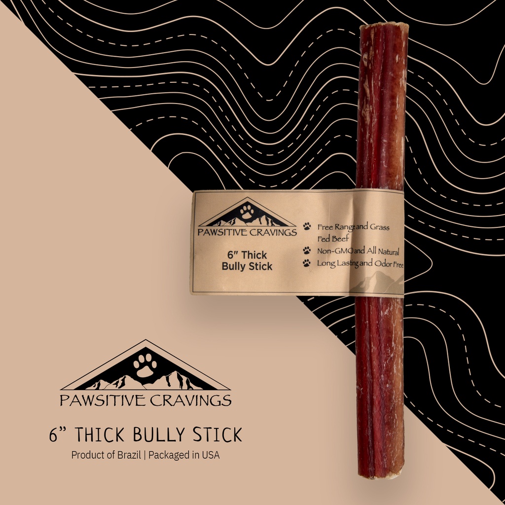 [6THKBS] Pawsitive Cravings 6 inch Thick Bully Stick