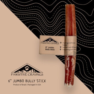 Pawsitive Cravings 6 inch Jumbo Bully Stick