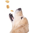 Krunch Honeycrisp Apple Air Crisp Dog Treat (Case)