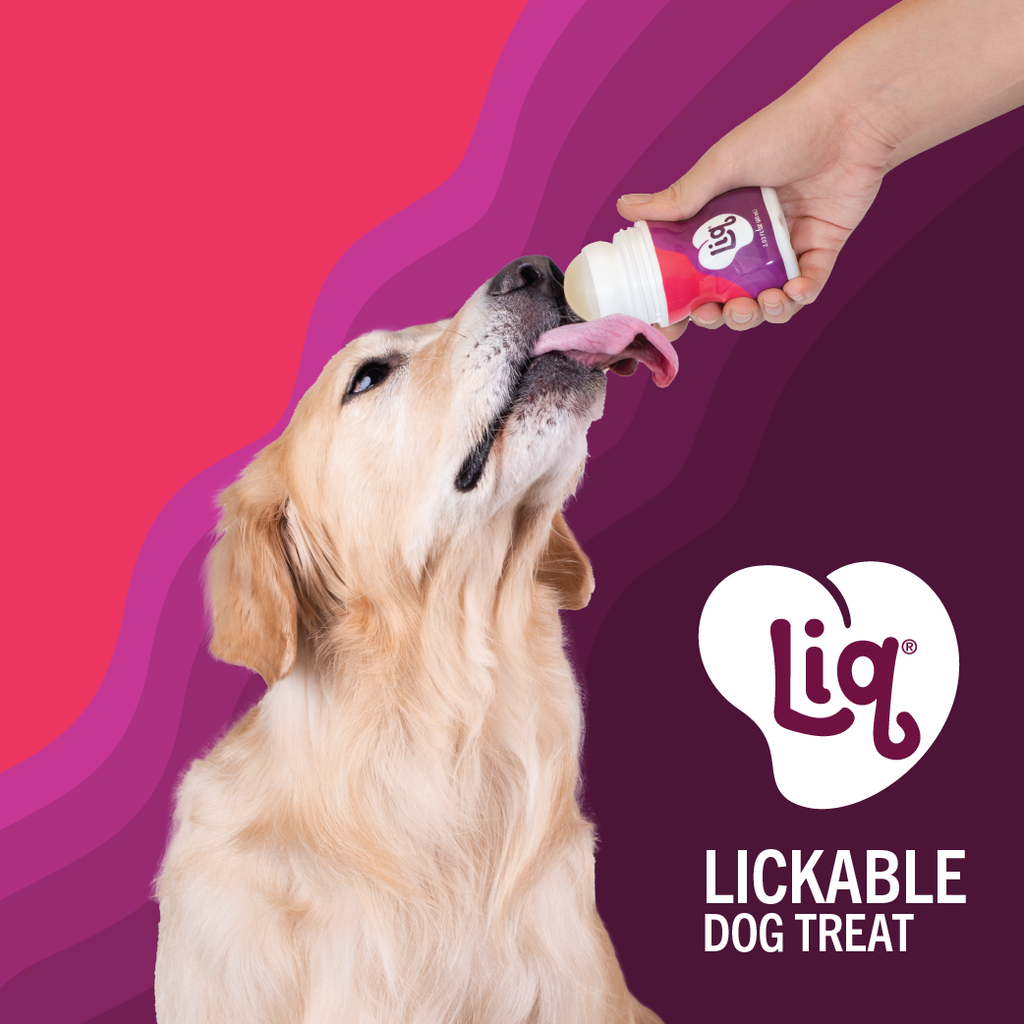 Liq Mixed Berries Dog Treat - promo poster
