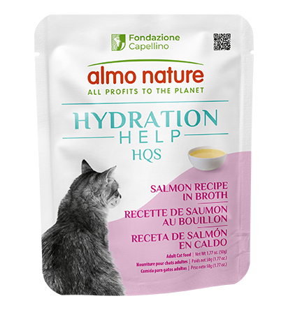 [1112] Hydration Salmon Recipe in Broth