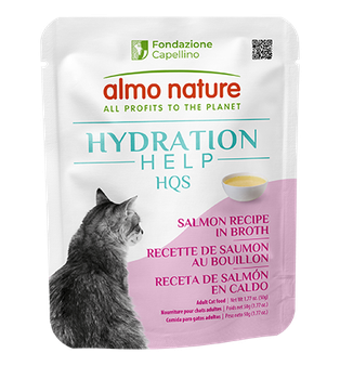 Hydration Salmon Recipe in Broth